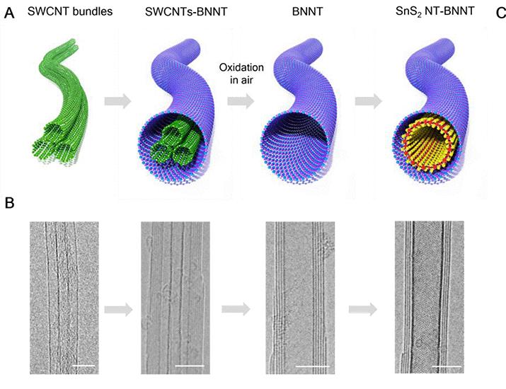 Preferred synthesis of armchair transition metal dichalcogenide nanotubes | Science