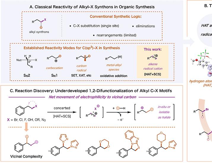 Vicinal disubstitution of alkyl C–X synthons via alkene radical cation generation | Science