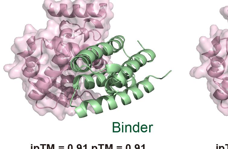 Programmable design of synthetic plant immune receptors for pathogen protein recognition | Science
