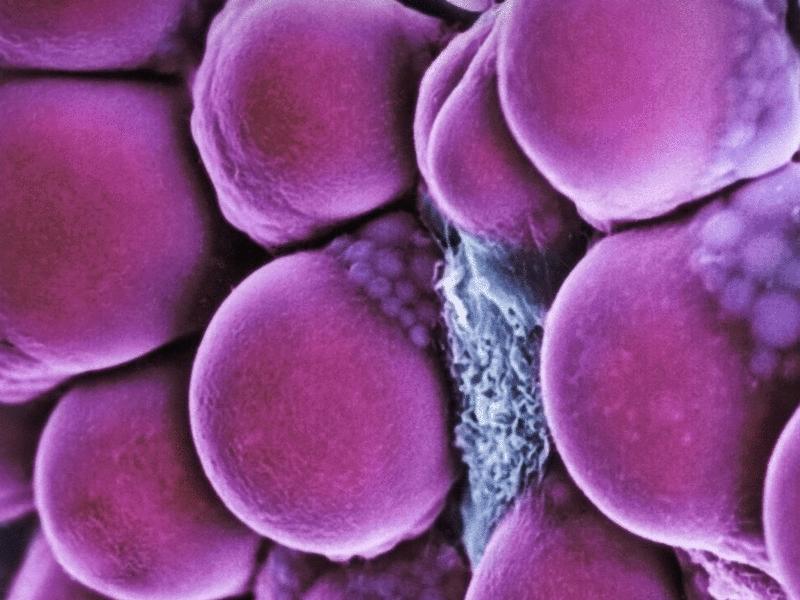 Virion display reveals MD-1 as an endogenous agonist for the orphan receptor GPRC5B | Science Signaling