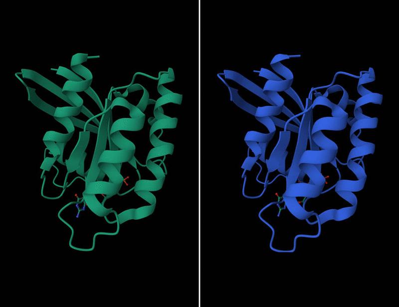 Wild-type RAS signaling is an essential therapeutic target in RAS-mutated cancers | Science Signaling