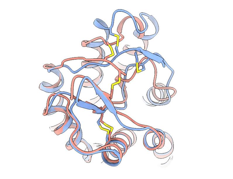 Structural insights into the activation mechanism of the human metabolite receptor HCAR1 | Science Signaling