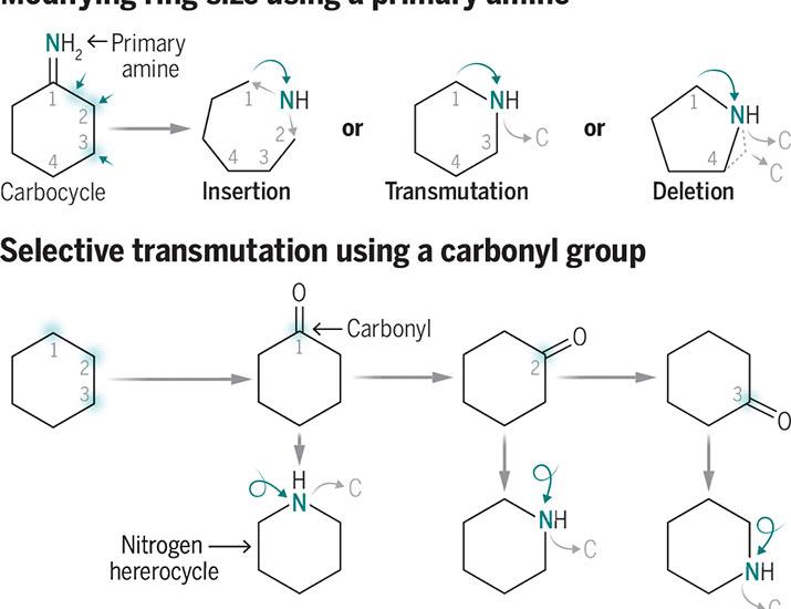 錬金術から精密スケルトン編へ |科学