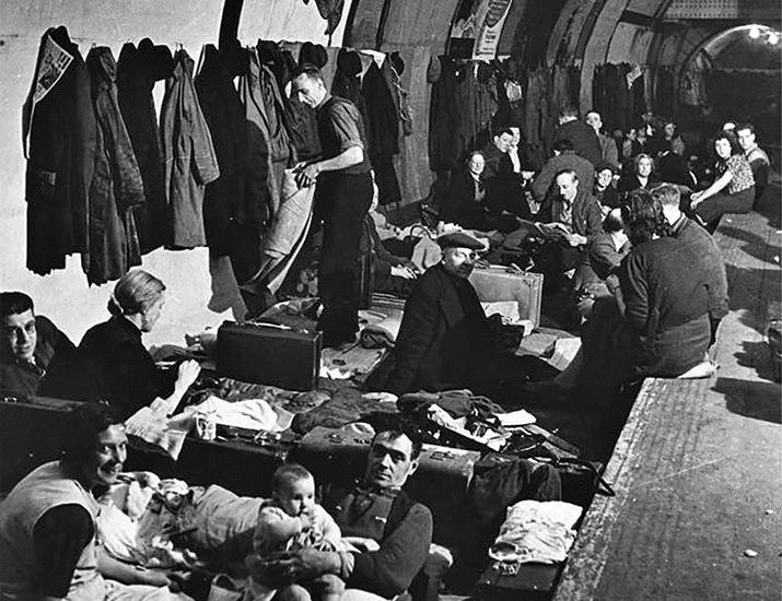 Urban pests traveled with ancient humans | Science