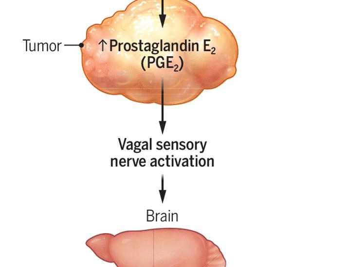 Local signals, systemic decline | Science