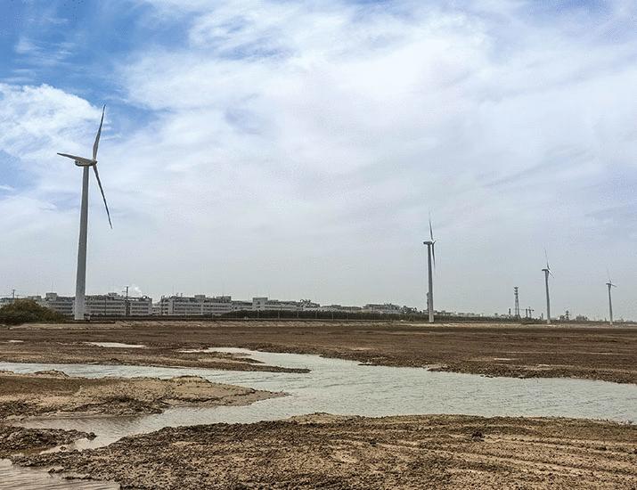 China’s cordgrass removal increases erosion | Science