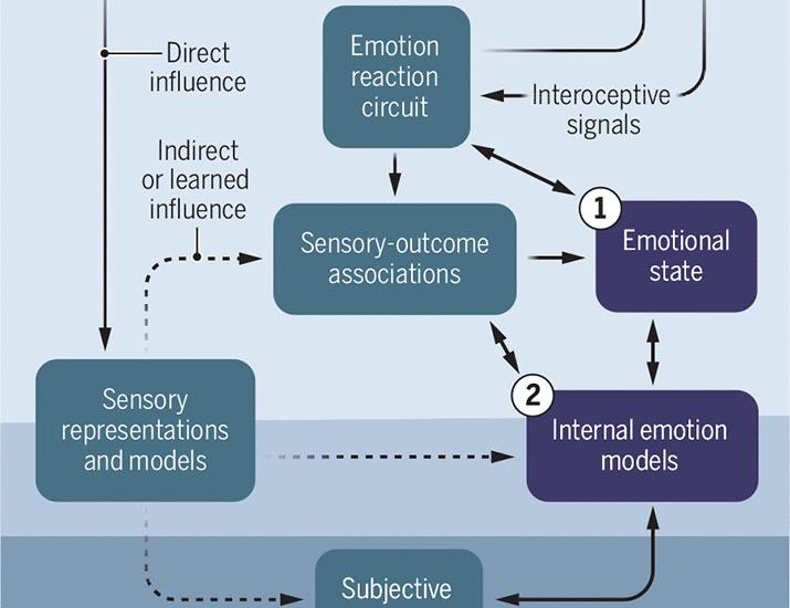 The hidden logic of emotion | Science