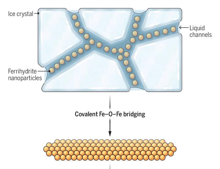Ice as a geochemical reactor | Science
