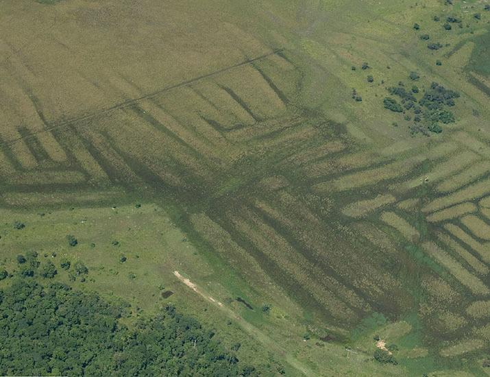 ボリビアのアマゾンの遺産を保護する |科学 ボリビアのアマゾンの遺産を保護する |科学
