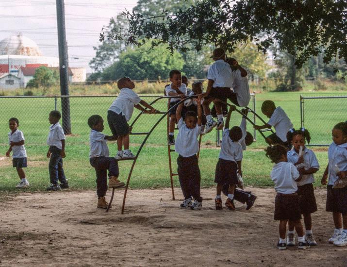 Correcting the record on race and medicine | Science