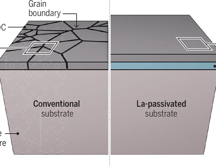 Homogenizing two-dimensional crystals | Science