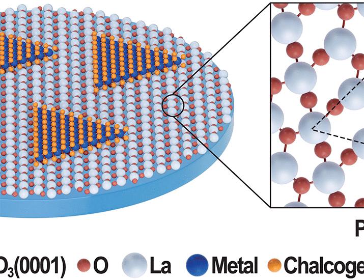Robust epitaxy of single-crystal transition-metal dichalcogenides on lanthanum-passivated sapphire | Science